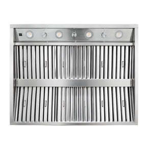 Fobest 42 Outdoor Range Hood Insert with Dual Motors, 2010 CFM OT-2