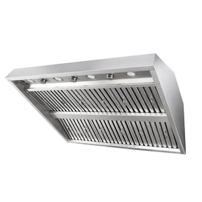 Fobest 42 Outdoor Range Hood Insert with Dual Motors, 2010 CFM OT-2