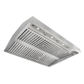 Fobest 42 Outdoor Range Hood Insert with Dual Motors, 2010 CFM OT-2