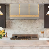 Fobest Custom Industrial Wall Mount Kitchen Range Hood in Stainless Steel FSS-579