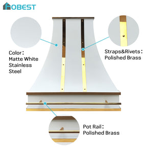 Fobest Custom Matte White Stainless Steel Range Hood with Polished Brass Decor FSS-622