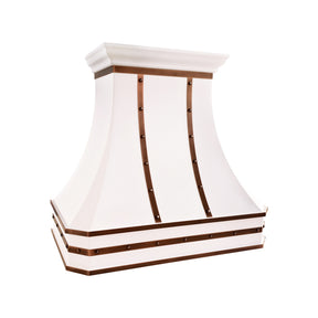Fobest Matte Curved Stainless Steel Range Hood with Copper Straps FSS-747