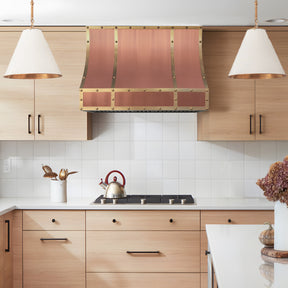 Fobest Mixed Metal Kitchen Hood with Sloped Design FCP-315